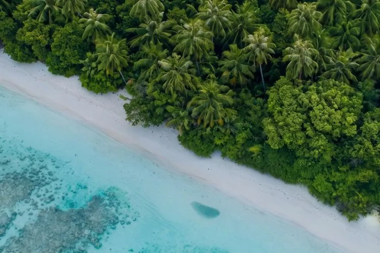 Govt Introduces Landmark Bill to Overhaul Lease of Uninhabited Islands and Lagoons; 28-Year-Old Act to be Repealed
