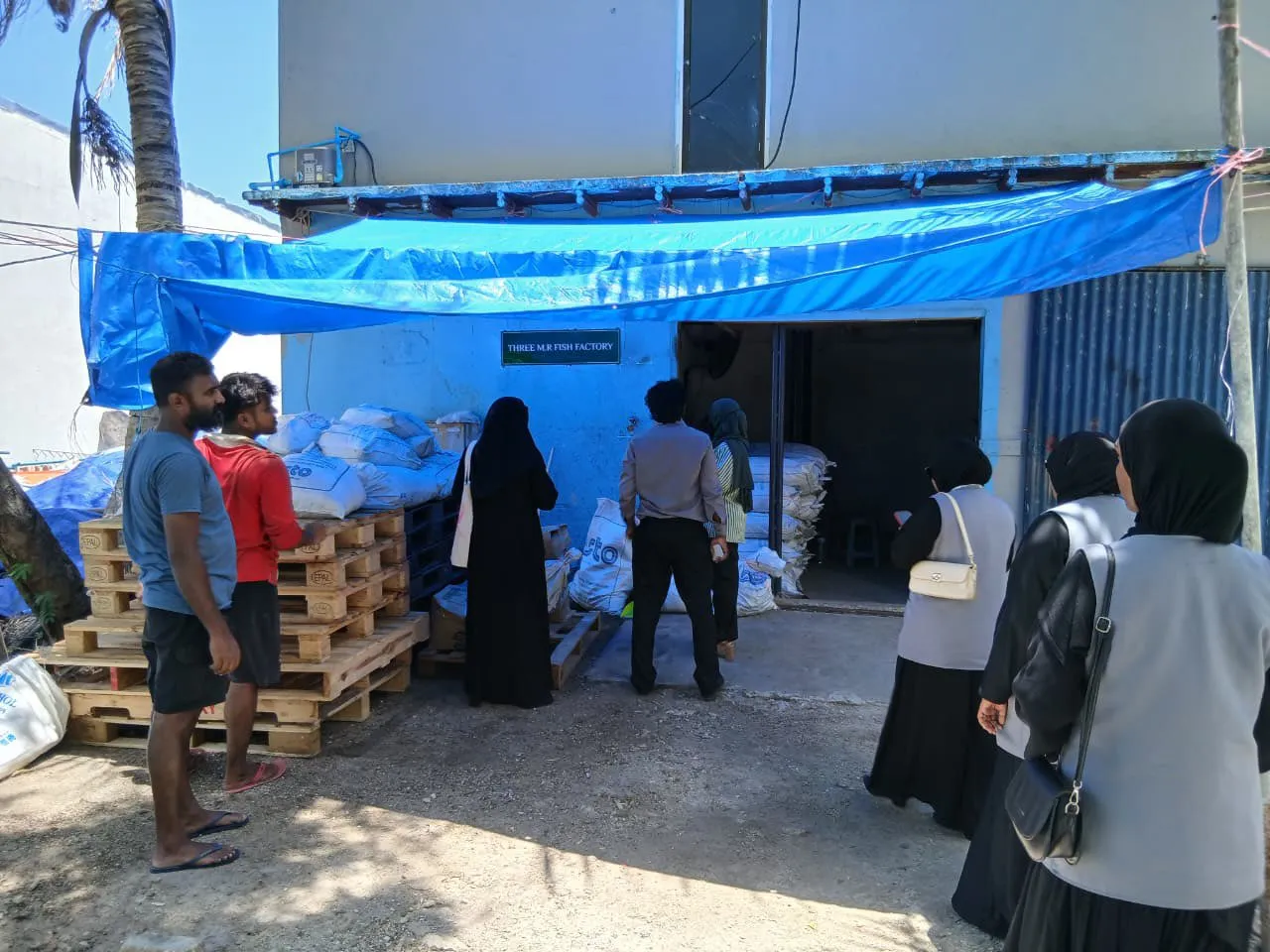 ވިލިމާލޭގައި މަސް ހިއްކުމުގެ ސާފުތާހިރުކަން ދަށްވެ އިސްލާހީ ފިޔަވަޅު އަޅައިފި