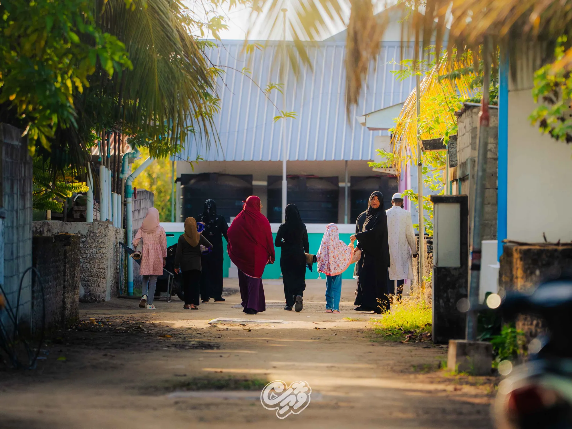 އިނގުރައިދޫގެ މަގެއް. ފޮޓޯ/ ވޮއިސް