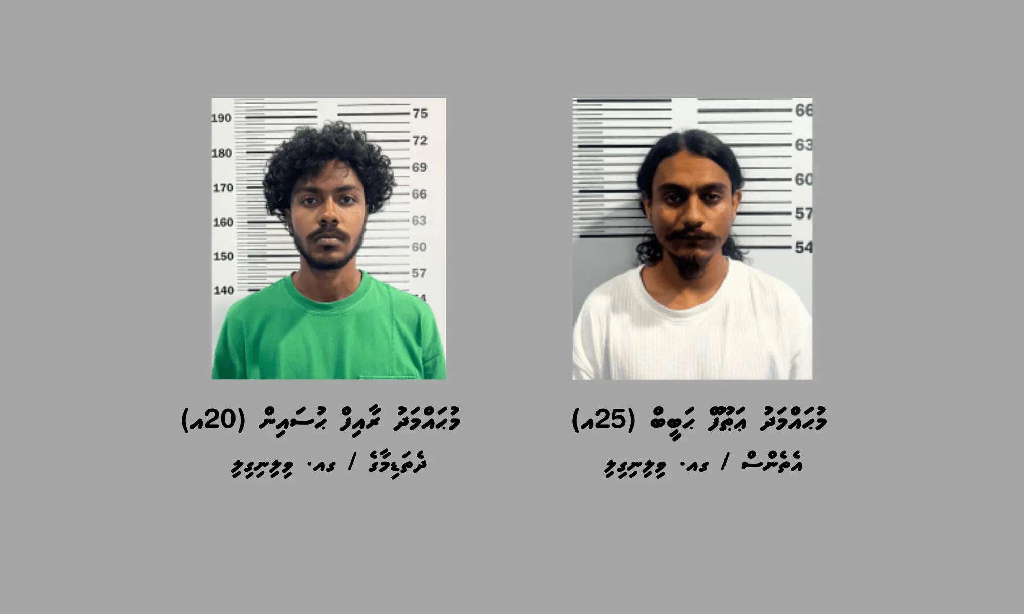 ވިލިނގިލީން ހައްޔަރުކުރި ދެ މީހުން