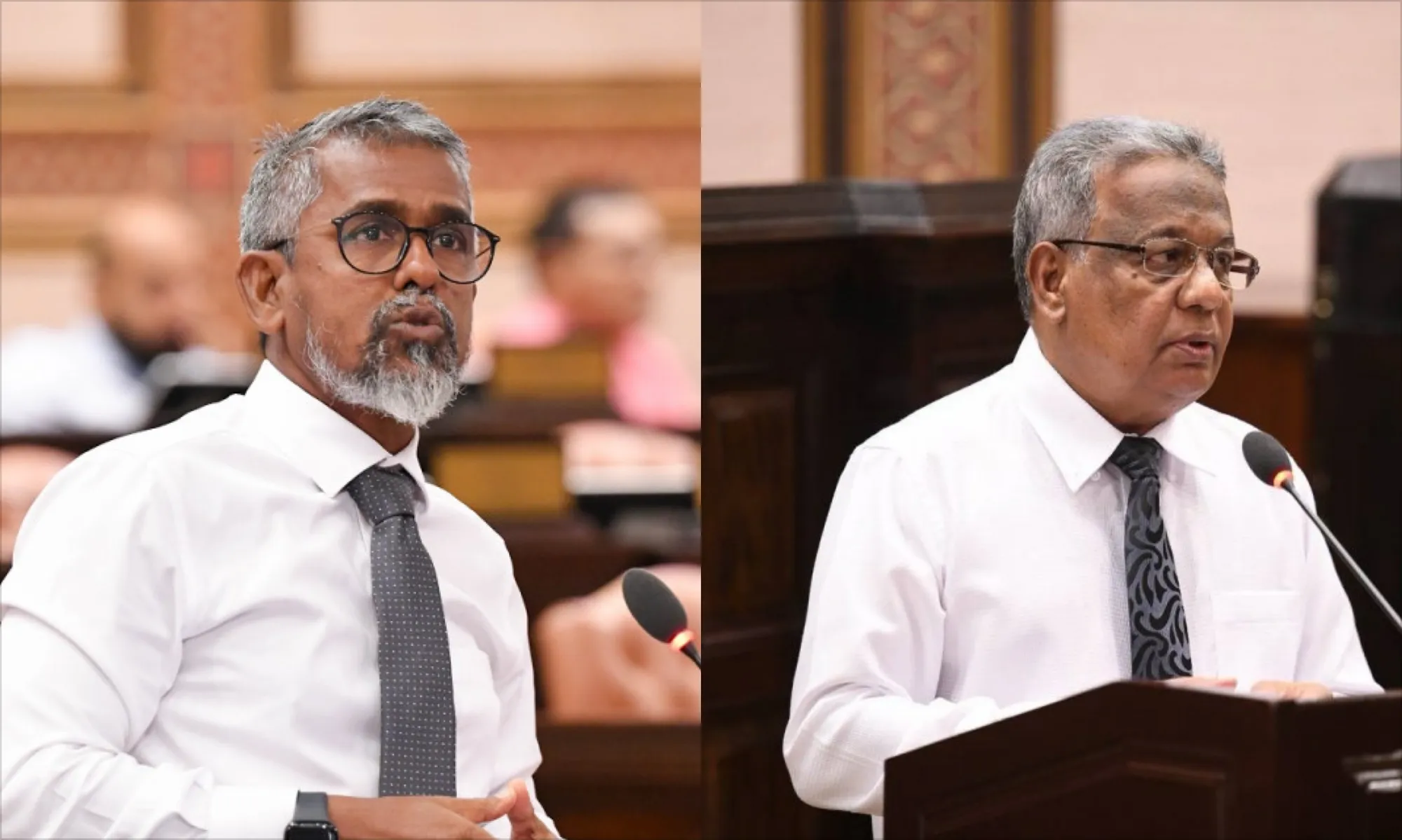 ޕީއެންސީގެ ފަރާތުން މަޖިލީހުގެ ނައިބު ކަމަށް ހުށަހެޅީ ސަލީމްގެ ނަން؛ އެމްޑީޕީން ޒިޔާދު