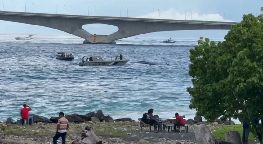 4 މީހުން ތިބި ލޯންޗެއް ރާޅުގަނޑު ސަރަހައްދަށް ބަންޑުން ޖަހާލައިފި