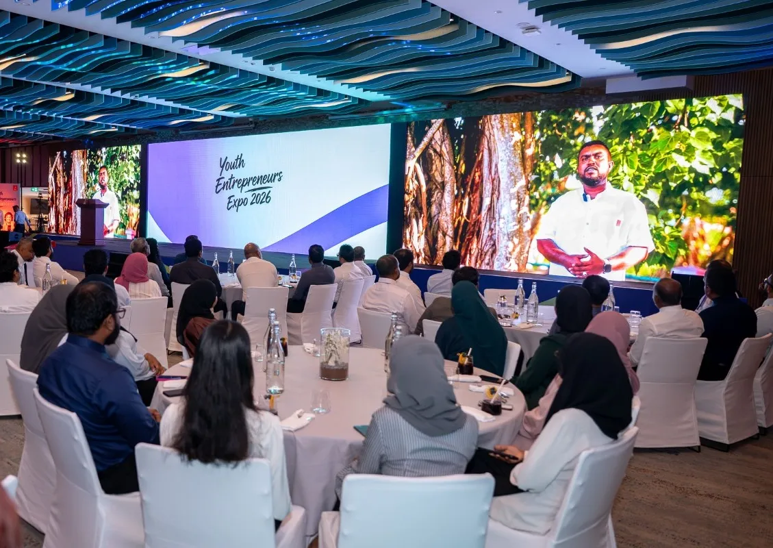 Youth Entrepreneurship Financing Benefits Over 3,000 Young Entrepreneurs