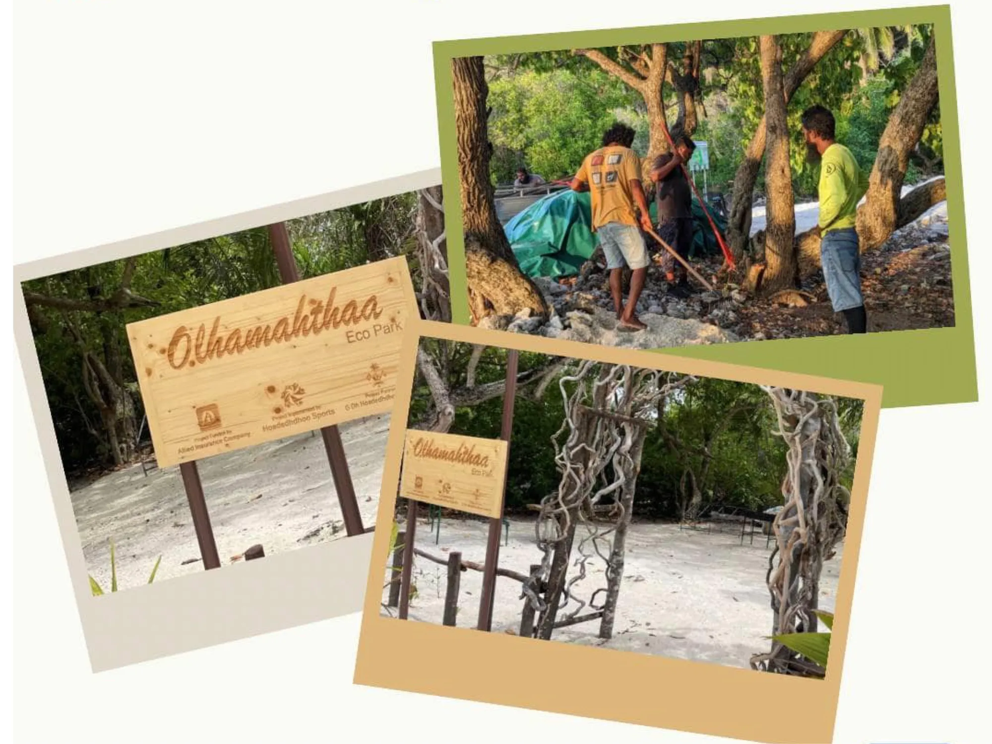 އެލައިޑް ކޮމިއުނިޓީ ފަންޑާއި އެޑިޔުކޭޝަން ފަންޑަށް ކުރިމަތިލުމަށް ހުޅުވާލައިފި