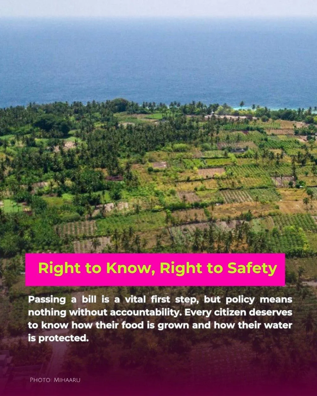 Pesticides in Maldives: what are we eating