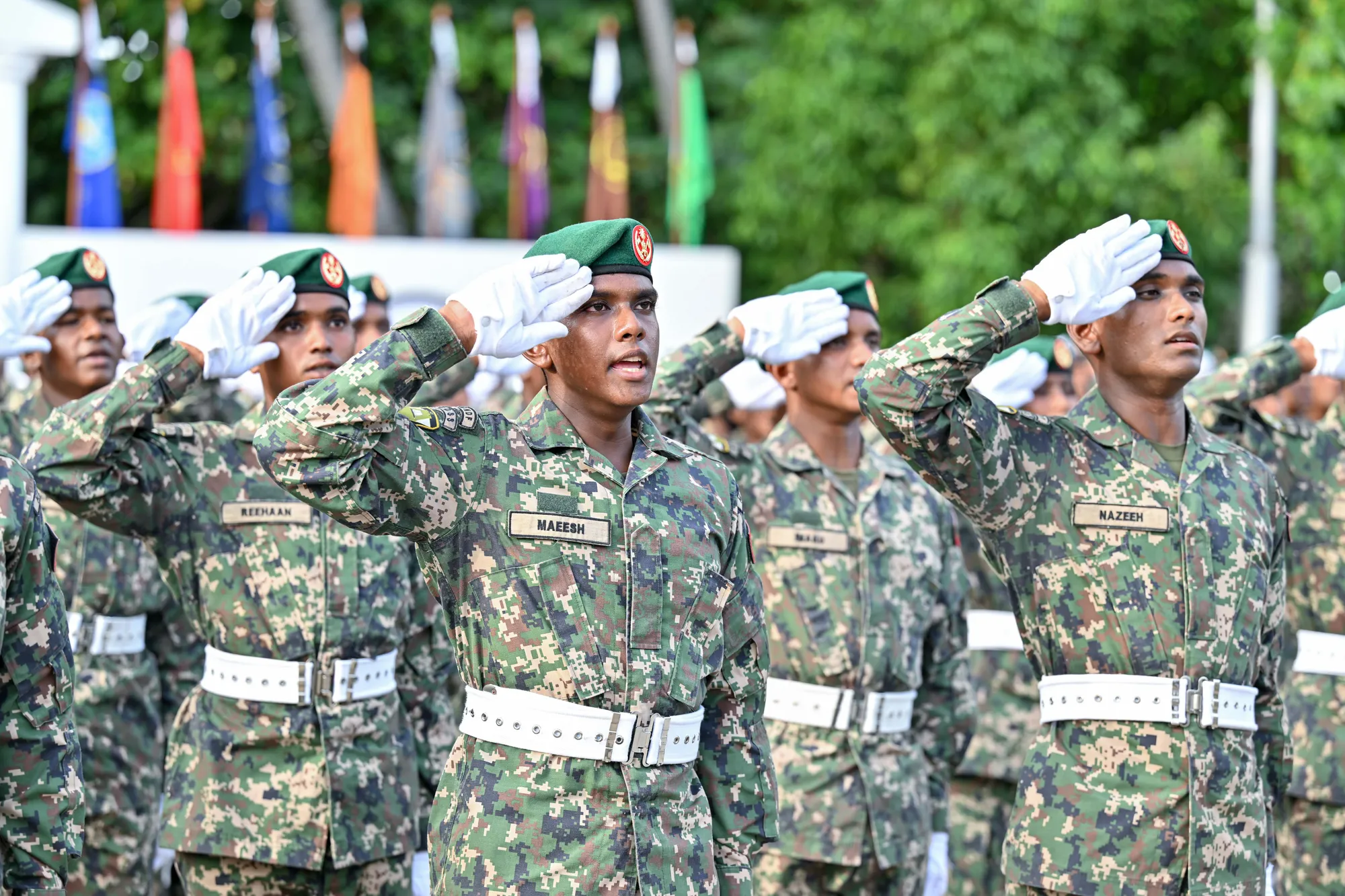 ހުވާކުރުމުގެ ރަސްމިއްޔާތުގެ ތެރެއިން.. ފޮޓޯ: ރައީސް އޮފީސް