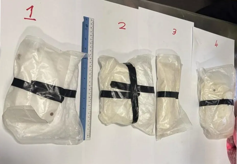 Drugs seized by customs (Photo/Maldives Customs)