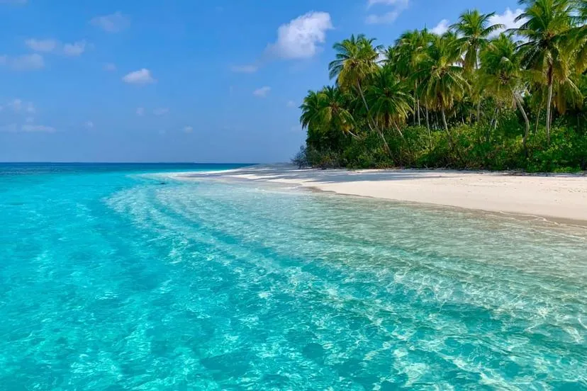 ރާއްޖޭގެ ފަޅު ރަށެއް