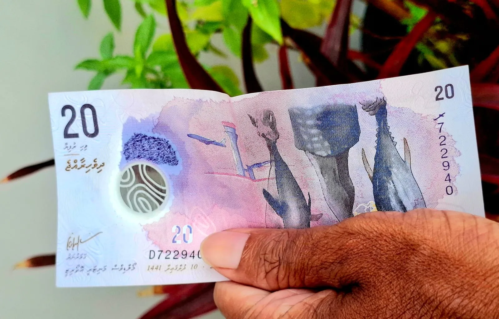 20 ރުފިޔާގެ ނޫޓެއް: ފޮޓޯ/ ވޮއިސް