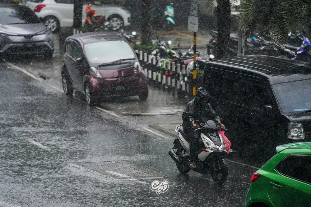 މޫސުން ގޯސް ދުވަހެއް-- ފޮޓޯ: ވޮއިސް