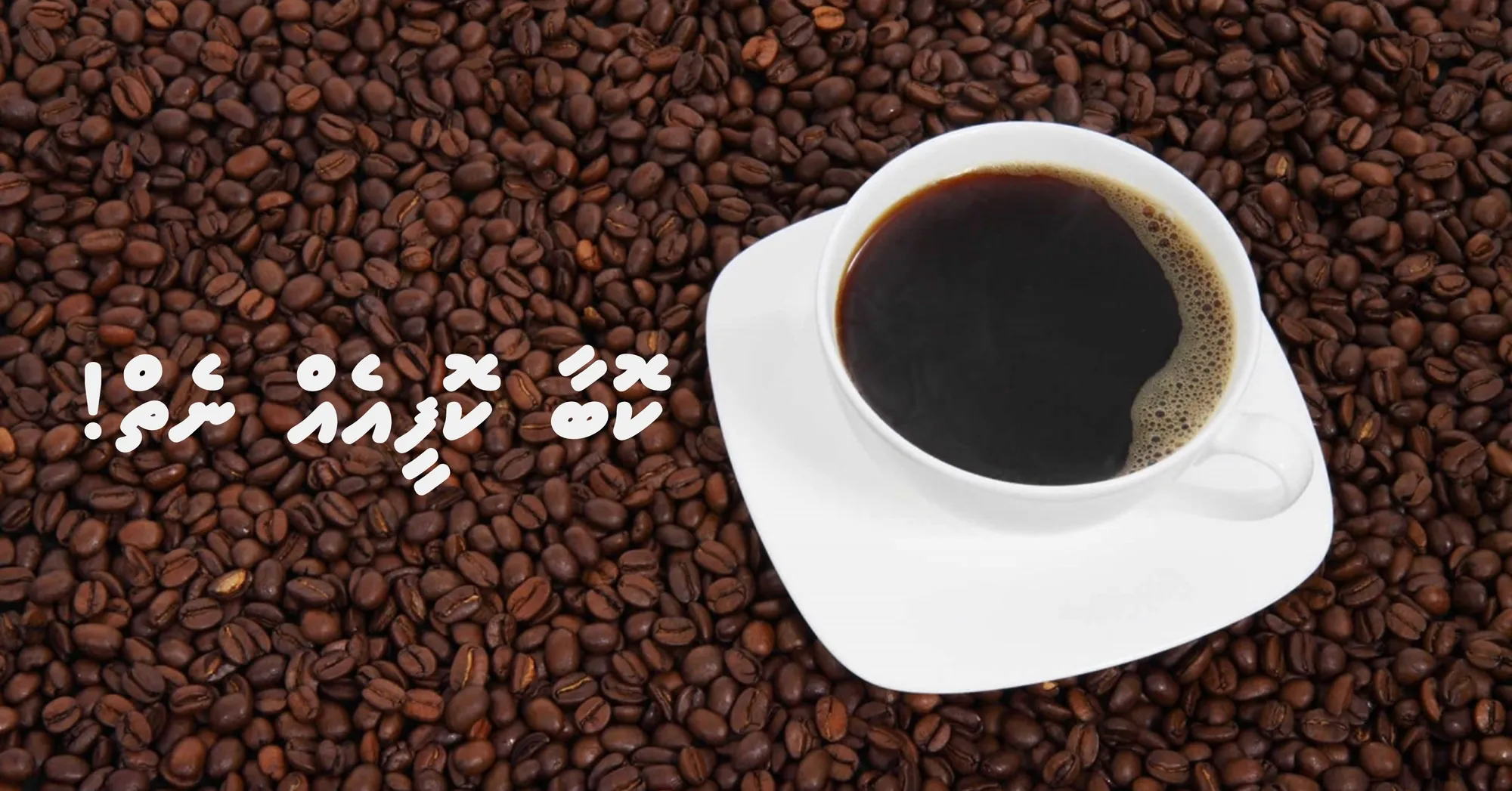 މިއަދަކީ ބައިނަލްއަގުވާމީ ކޮފީ ދުވަސް