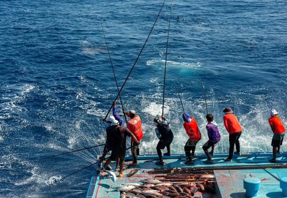 Portal Registration Made Mandatory for Fishing Vessel Fuel Subsidy