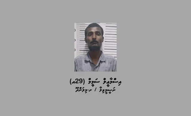 ކޭބަލްތައް ވަގަށް ނެގި މީހާ -- ފޮޓޯ: ޕޮލިސް
