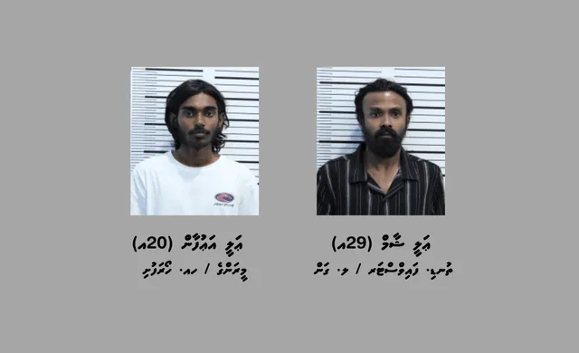 ޑްރަގާއި ބަނގުރާ ވިއްކާ ކަމުގެ ތުހުމަތުގައި ހައްޔަރުކުރި ދެ މީހުން