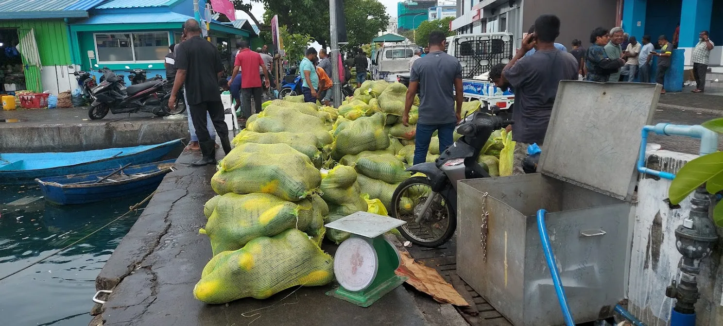 ބާޒާރުގައި ވިއްކަން ގެނެސްފައިހުރި އިންޑިއާ ކަރާތަކެއް... ފޮޓޯ: ވޮއިސް