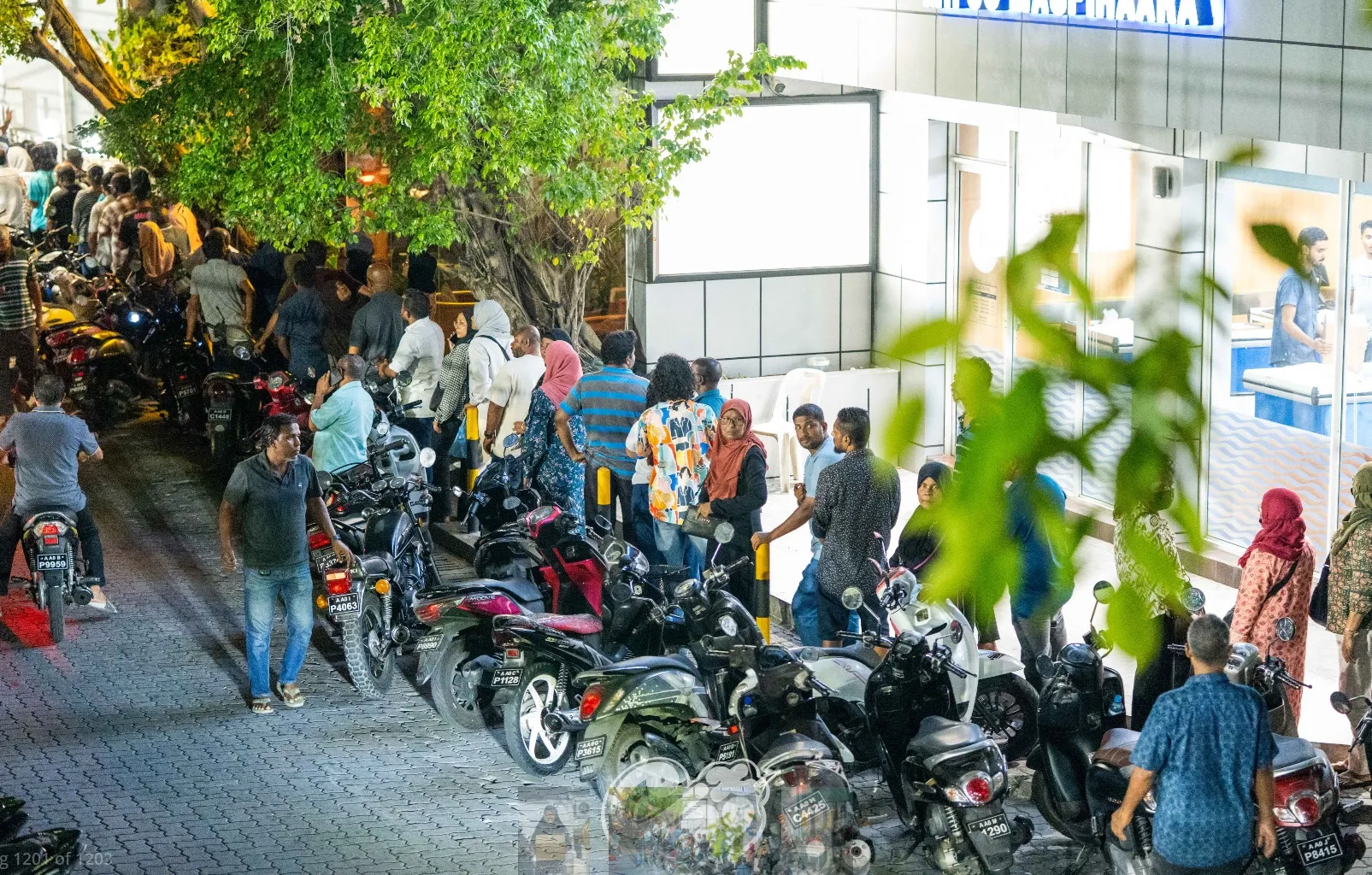 މަސްދަޅު ކިއު