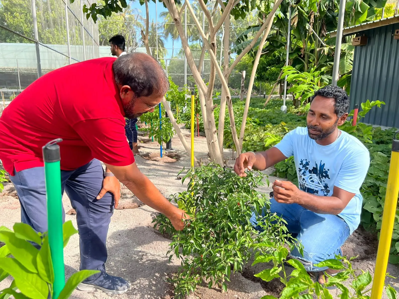 އަޅުގަނޑުގެ ވެރިކަމުގައި ދިވެހިރާއްޖެއަށް ދަނޑުވެރިކަމުގެ ރަން ޒަމާން ގެންނާނަން: ޤާސިމް