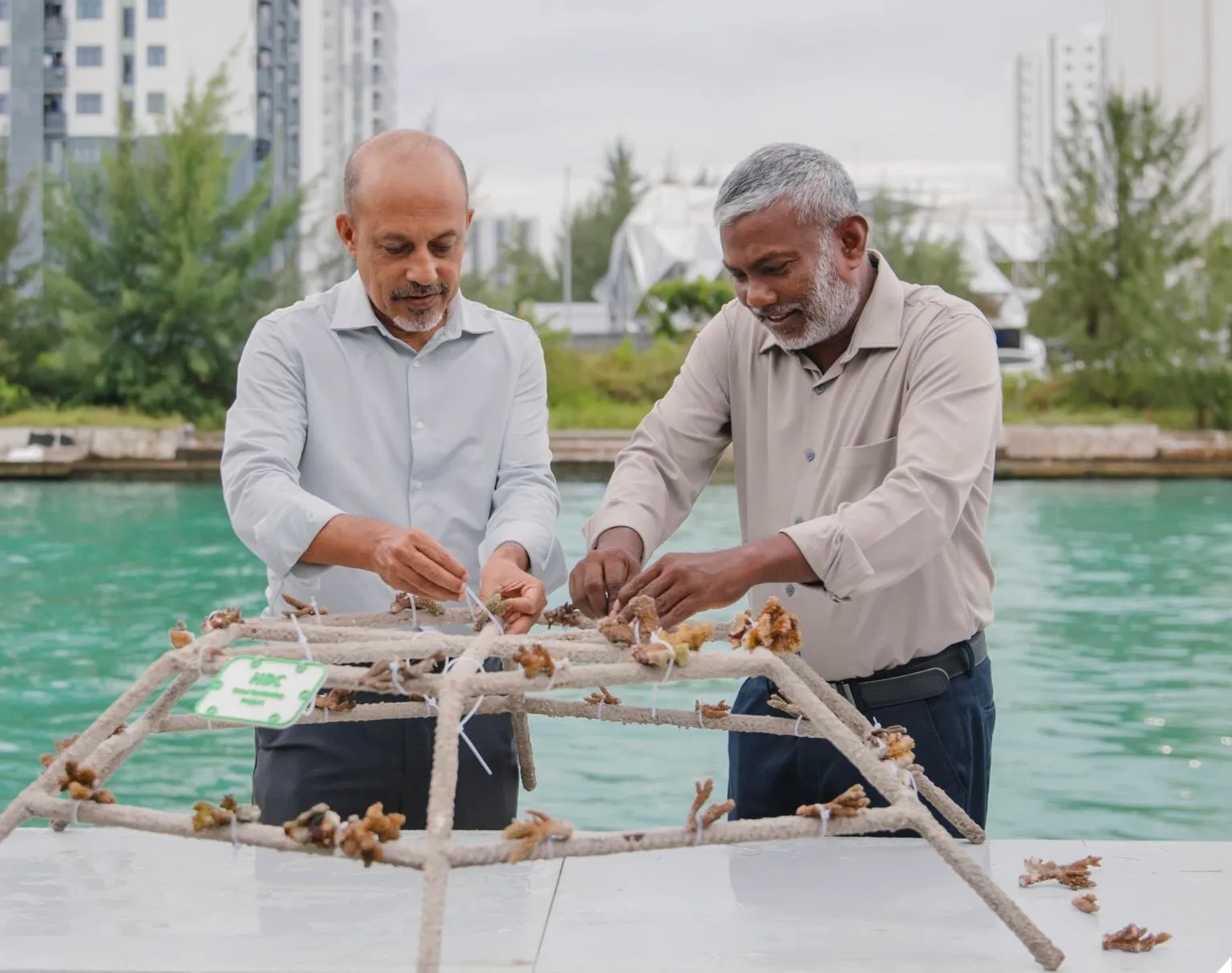 During the launch ceremony of coral restoration project (Photo/HDC)