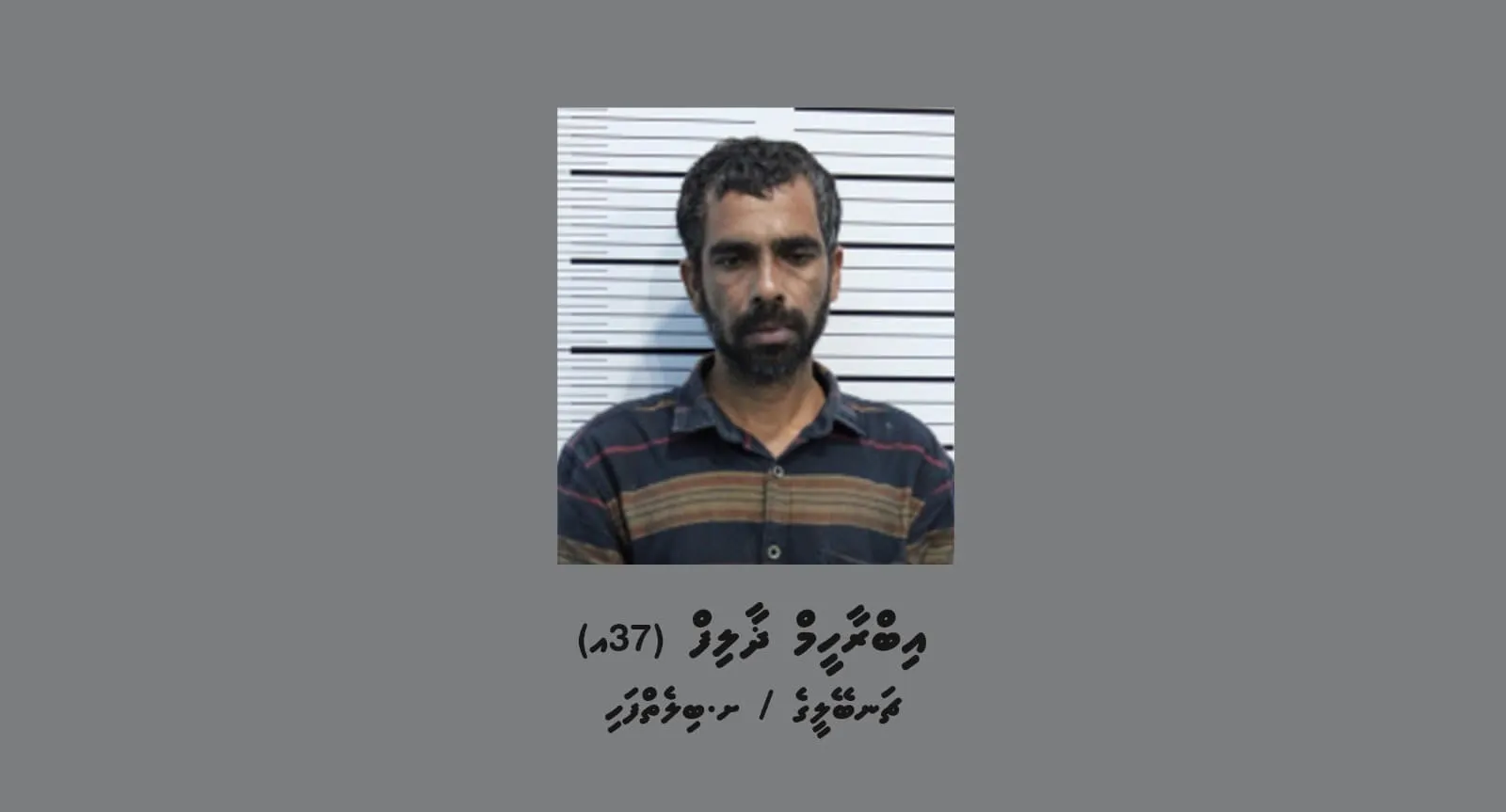 ސްޓެލްކީ މުބައްޒަފަށް ހަމަލާ ދީގެން ހައްޔަރު ކުރި މީހާ: ފޮޓޯ/ ޕޮލިސް
