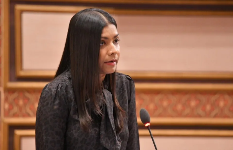 ރައީސް ނަޝީދާއި އީވާ މަޖިލިސް ހިޞާރުކޮށްގެން ޑިމޮކްރެސީގެ ނަމުގައި ފަތުރަނީ ފިތުނަ: ރޮޒައިނާ