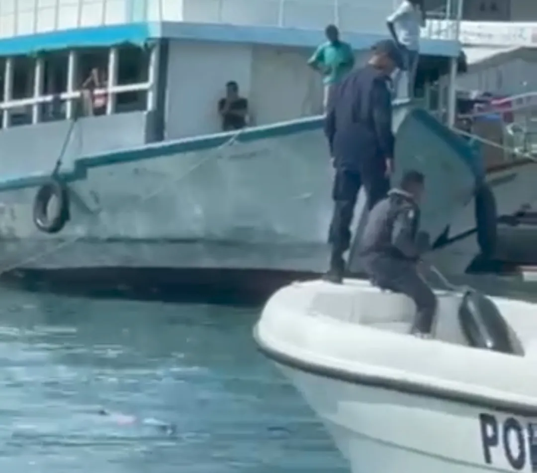 މާލޭގެ ނޯތް ހާބަރު ފަޅު ތެރޭ މޫދުން ފެނުނު މީހަކަށް ފަރުވާ ދީފި!