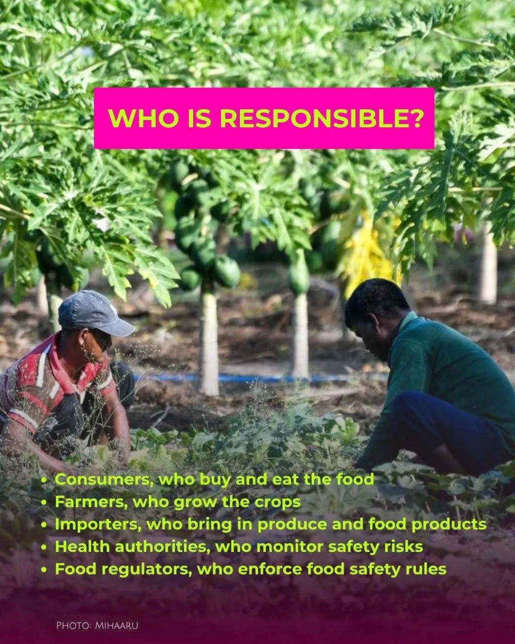 Pesticides in Maldives: what are we eating