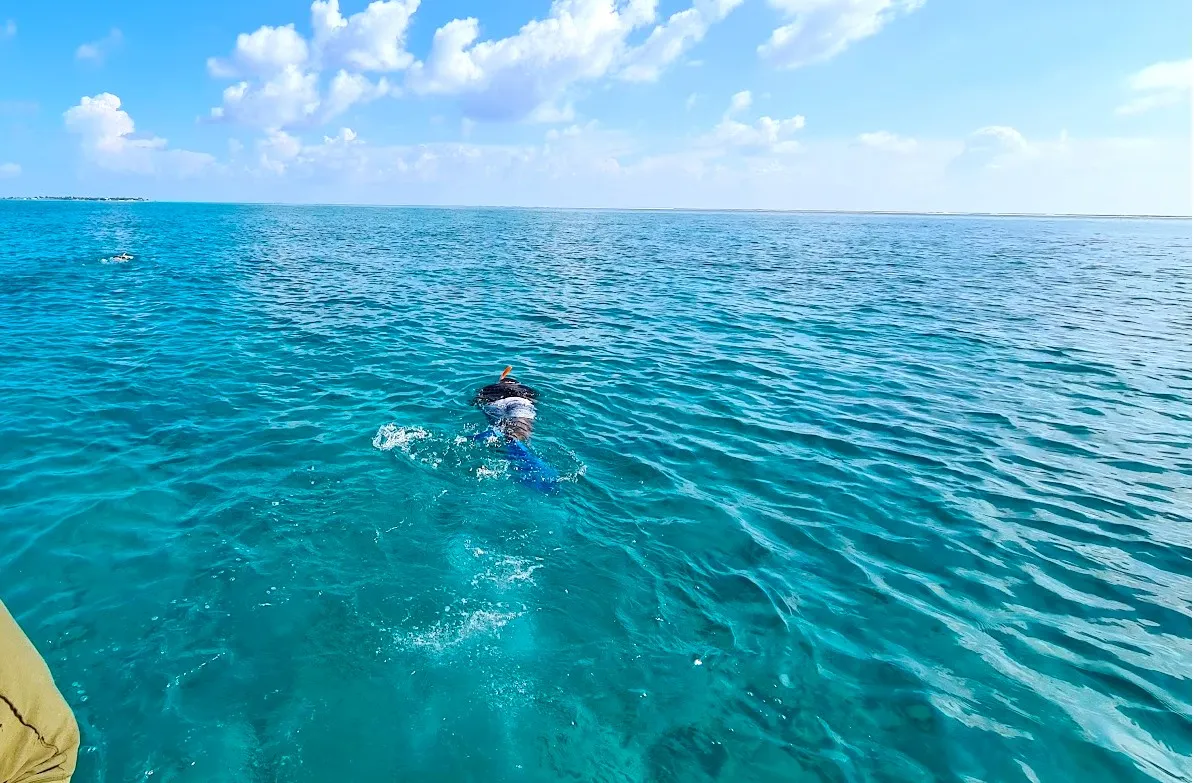 މަސްހިފަންގޮސް އުޅުނު ބައެއް... ފައިލް ފޮޓޯ: ވޮއިސް