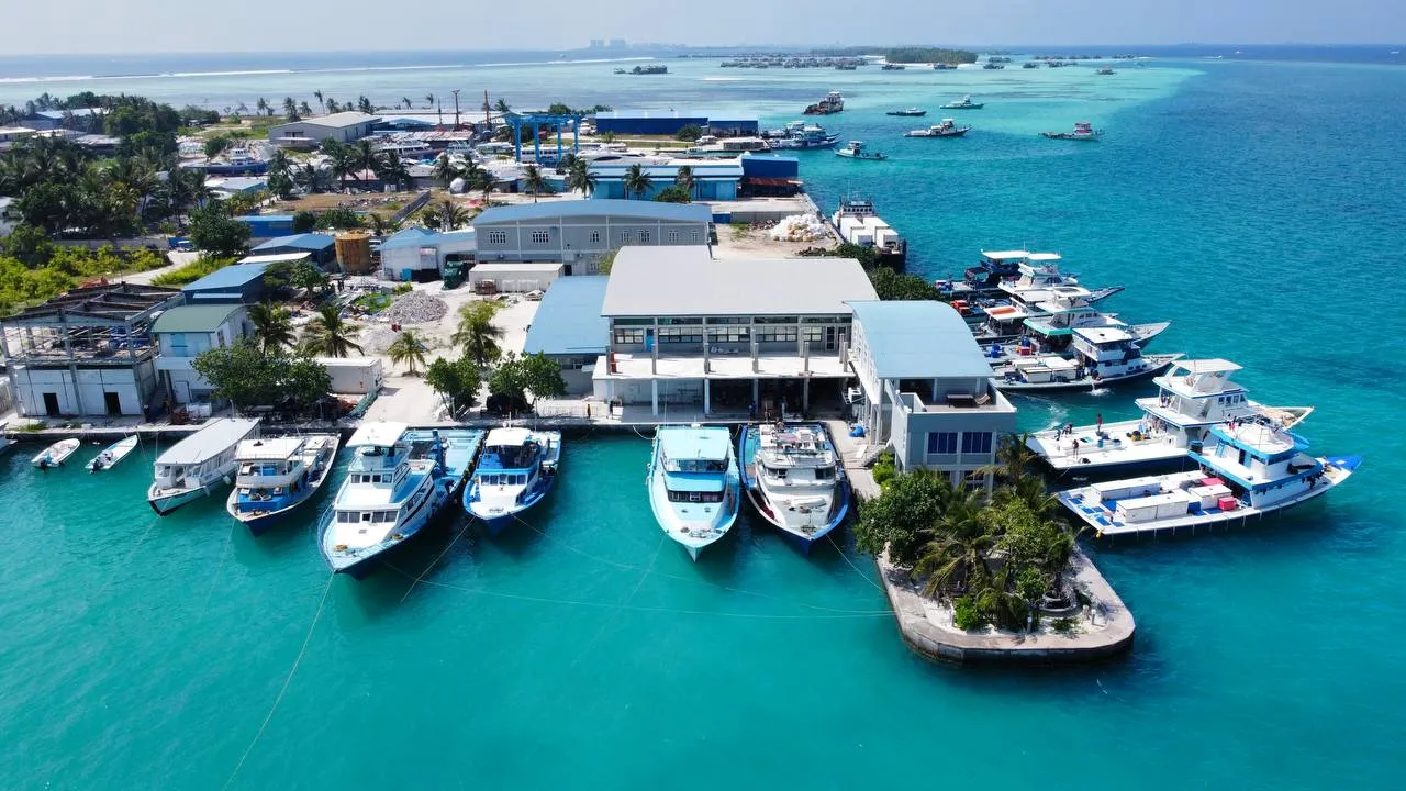 ހިންމަފުށީގައި ހިންގަމުން އަންނަ ބިގް ފިޝް ފެކްޓަރީ -