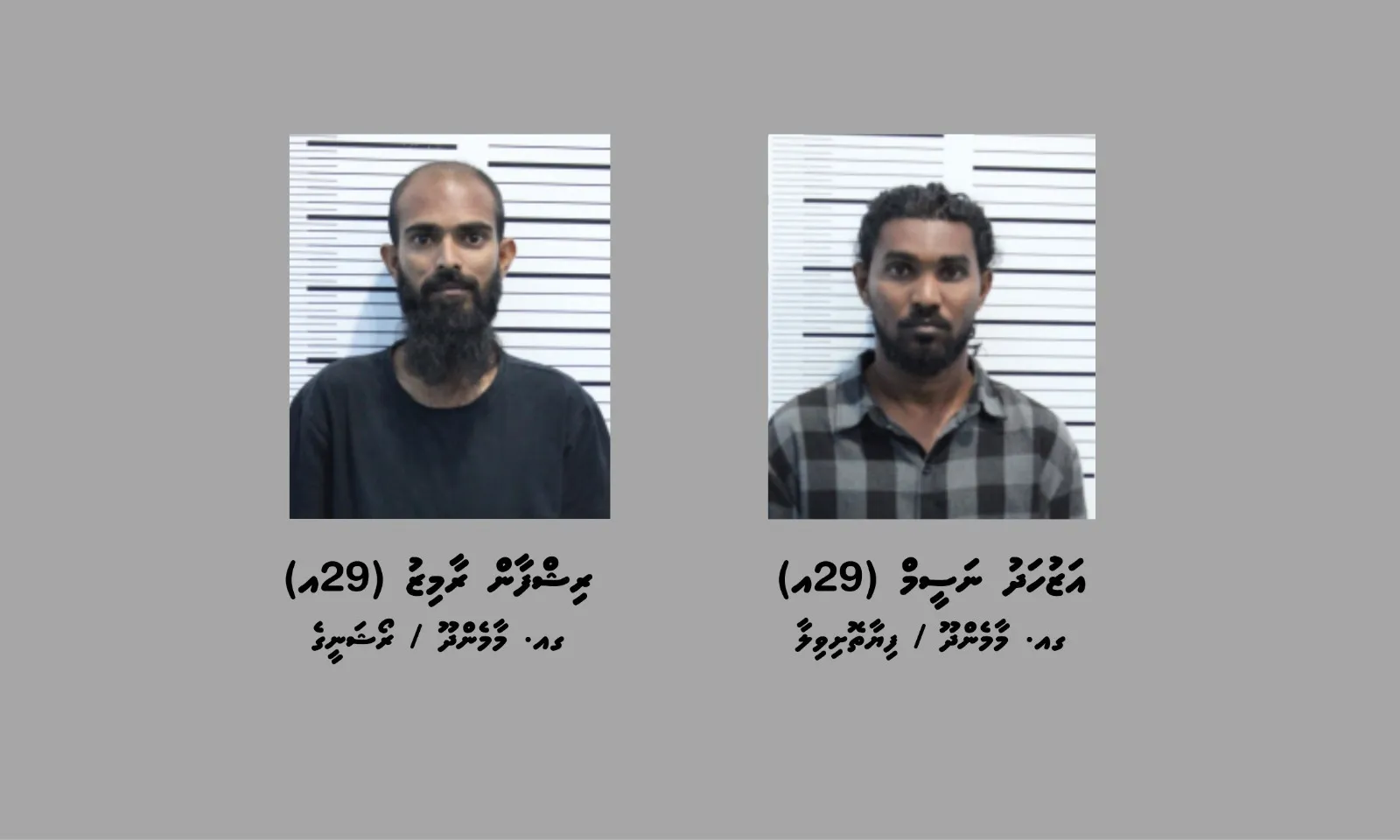 ގއ. މާމެންދޫއިން 17 ކިލޯގެ މަސްތުވާތަކެއްޗާއި އެކު ދެމީހުން ހައްޔަރުކޮށްފި
