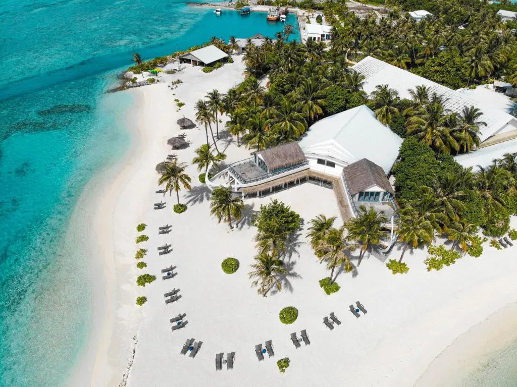 ޤާނޫނުގައި ލާޒިމްކޮށްފައިވާ ގޮތަށް، ޑޮލަރު މާރު ނުކުރާ ފަރާތްތަކުގެ ނަންތައް އާއްމުކުރަން ފަށައިފި