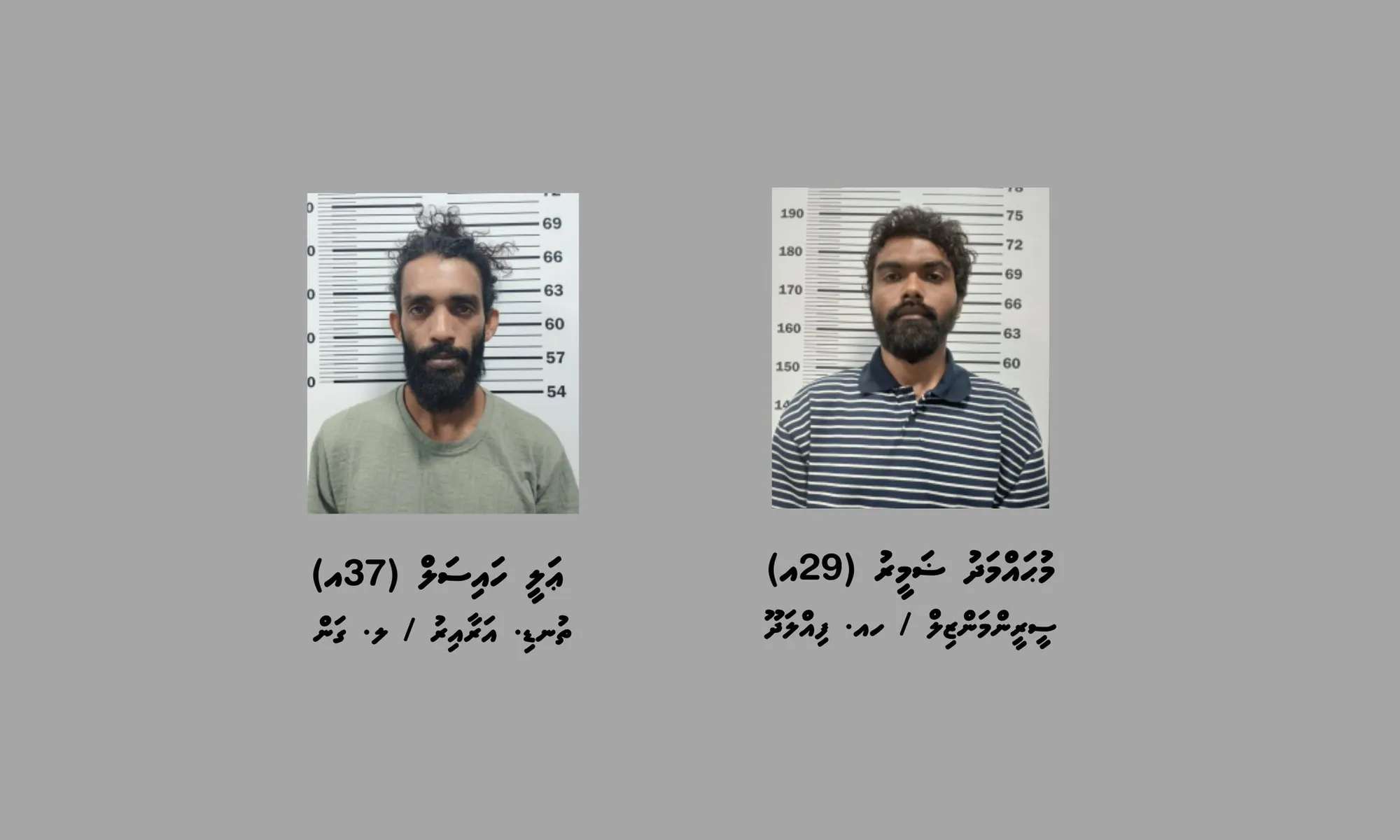 އޮރިޔާންކޮށް ބިރުދައްކާ ފޭރުނު ދެ މީހުން