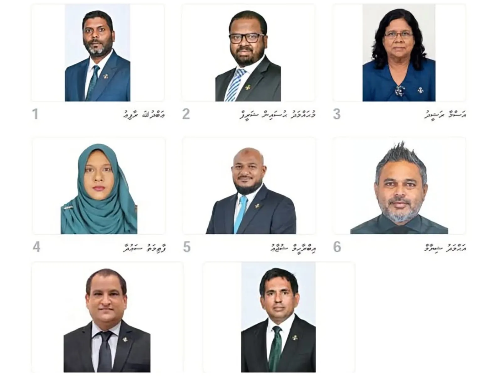 ނާއިބު ރައީސުންގެ މަގާމަށް ކުރިމަތިލެއްވި ބޭފުޅުން