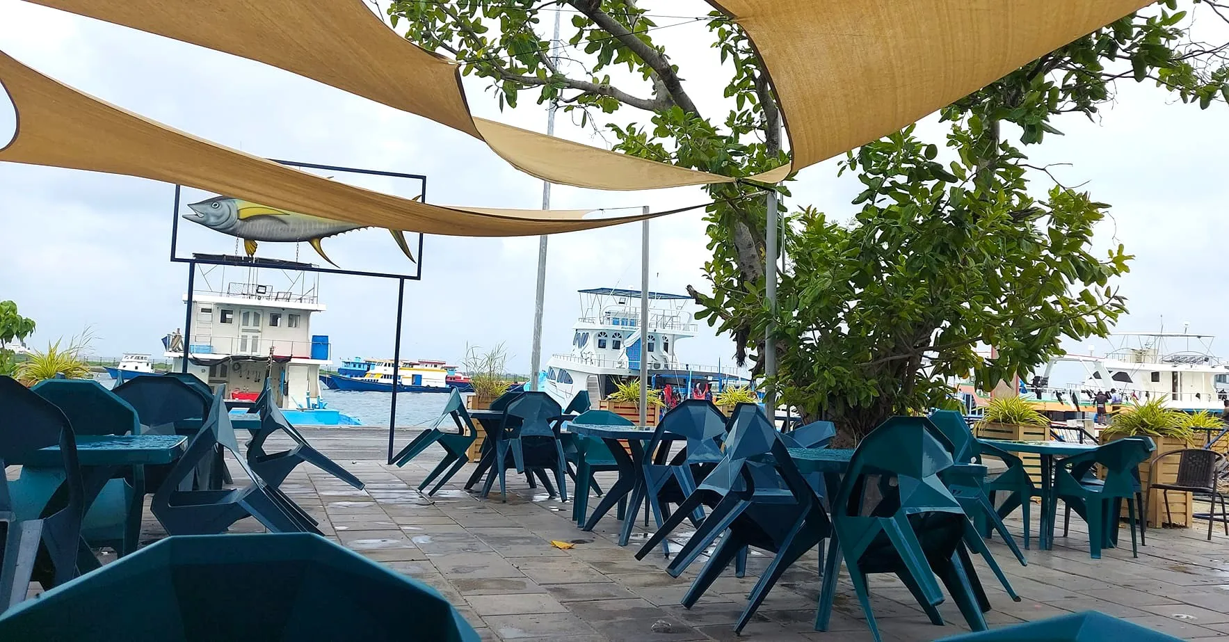 ހުޅުމާލޭގައި ހުންނަ ކެފޭއެއް... ފޮޓޯ: ވޮއިސް