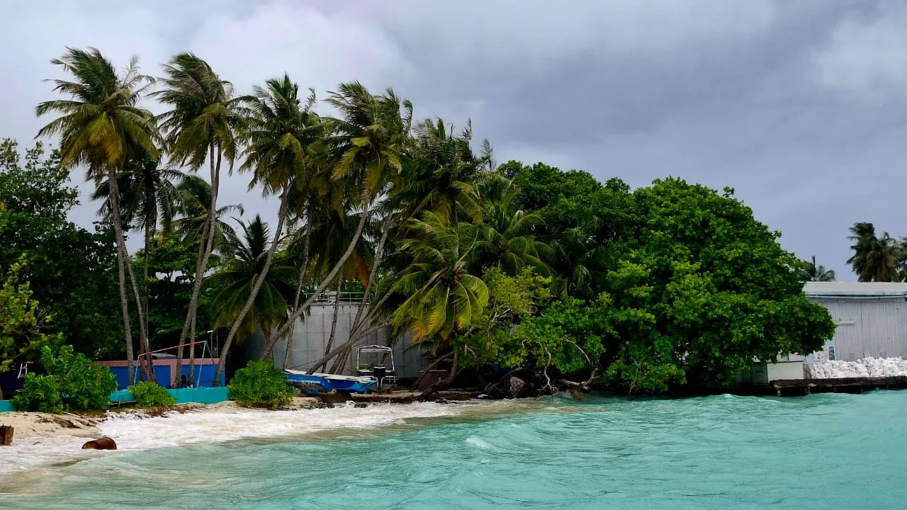 މޫސުން ގޯސް ދުވަހެއް: ފޮޓޯ/ ވޮއިސް