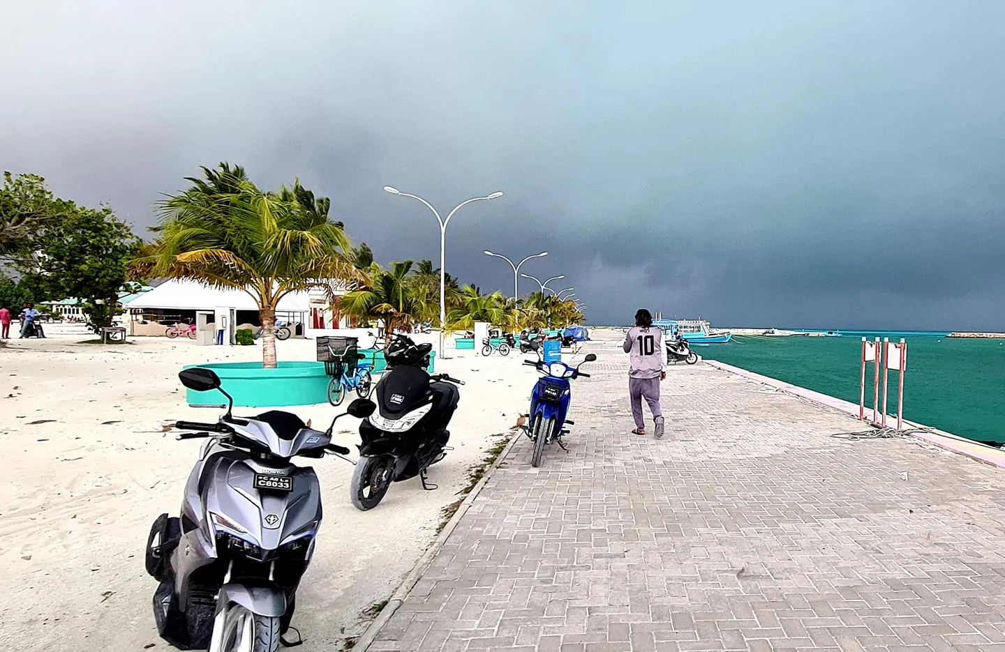 މޫސުން ގޯސް ދުވަހެއް-- ފޮޓޯ: ވޮއިސް