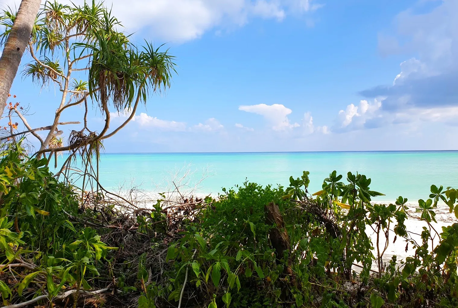 އއ ތޮއްޑޫ.. ފޮޓޯ: ވޮއިސް
