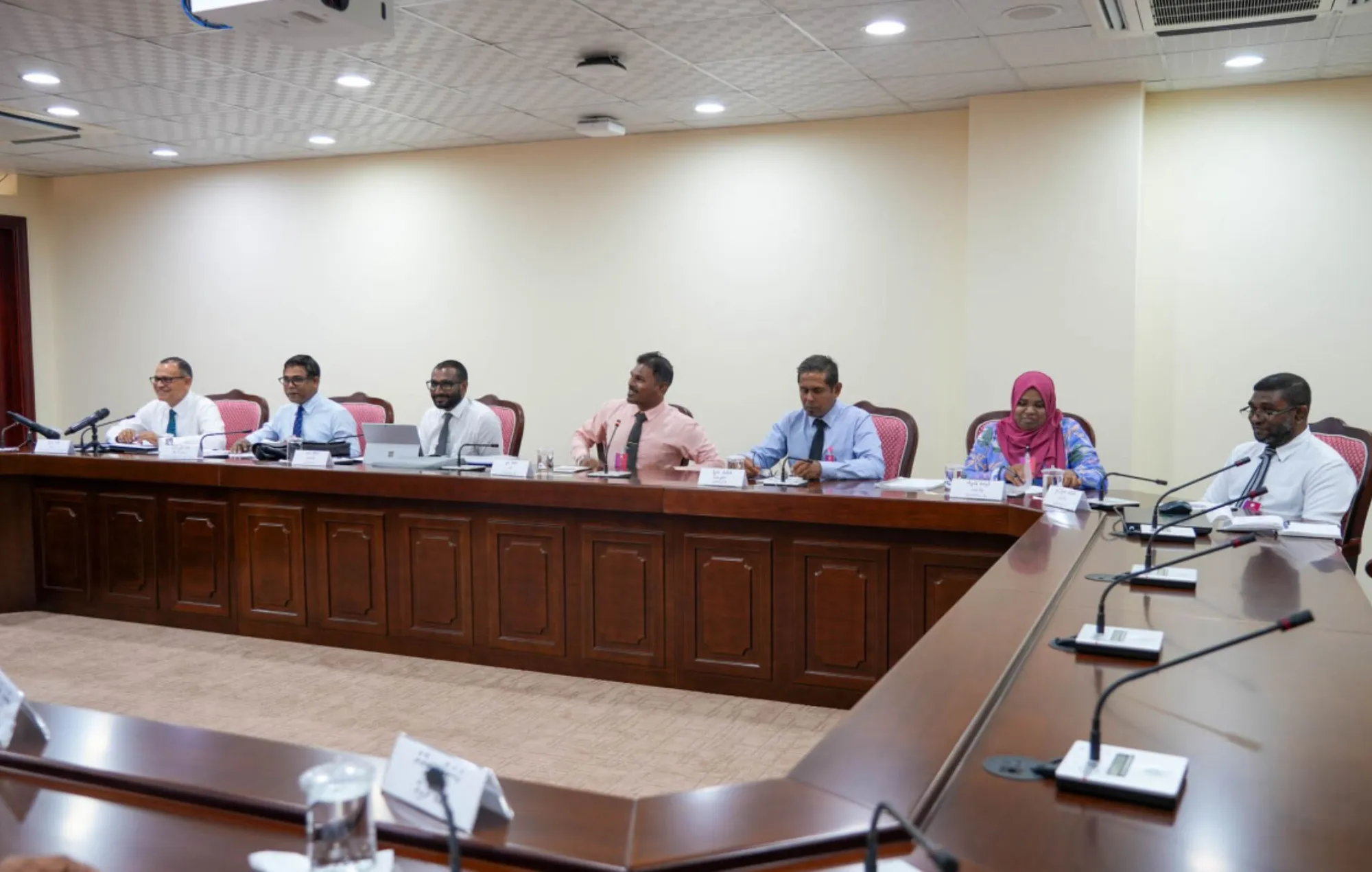 ތިނަދޫ ކައުންސިލްގެ ހައިސިއްޔަތު އޮޅުން ފިލުވަން ލާމަރުކަޒީ ކޮމެޓީއަށް