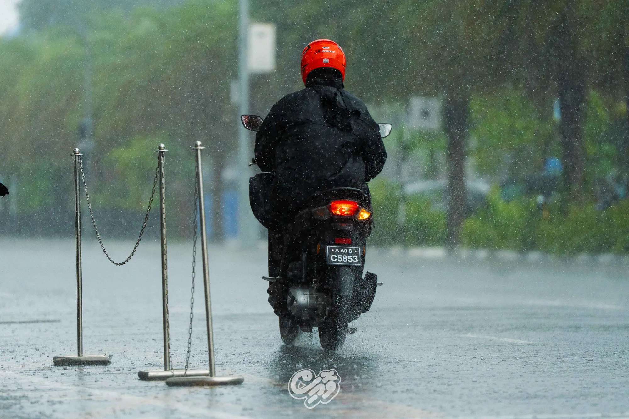 މާލެއަށް ވިއްސާރަ ދުވަހެއް: ފޮޓޯ/ ވޮއިސް