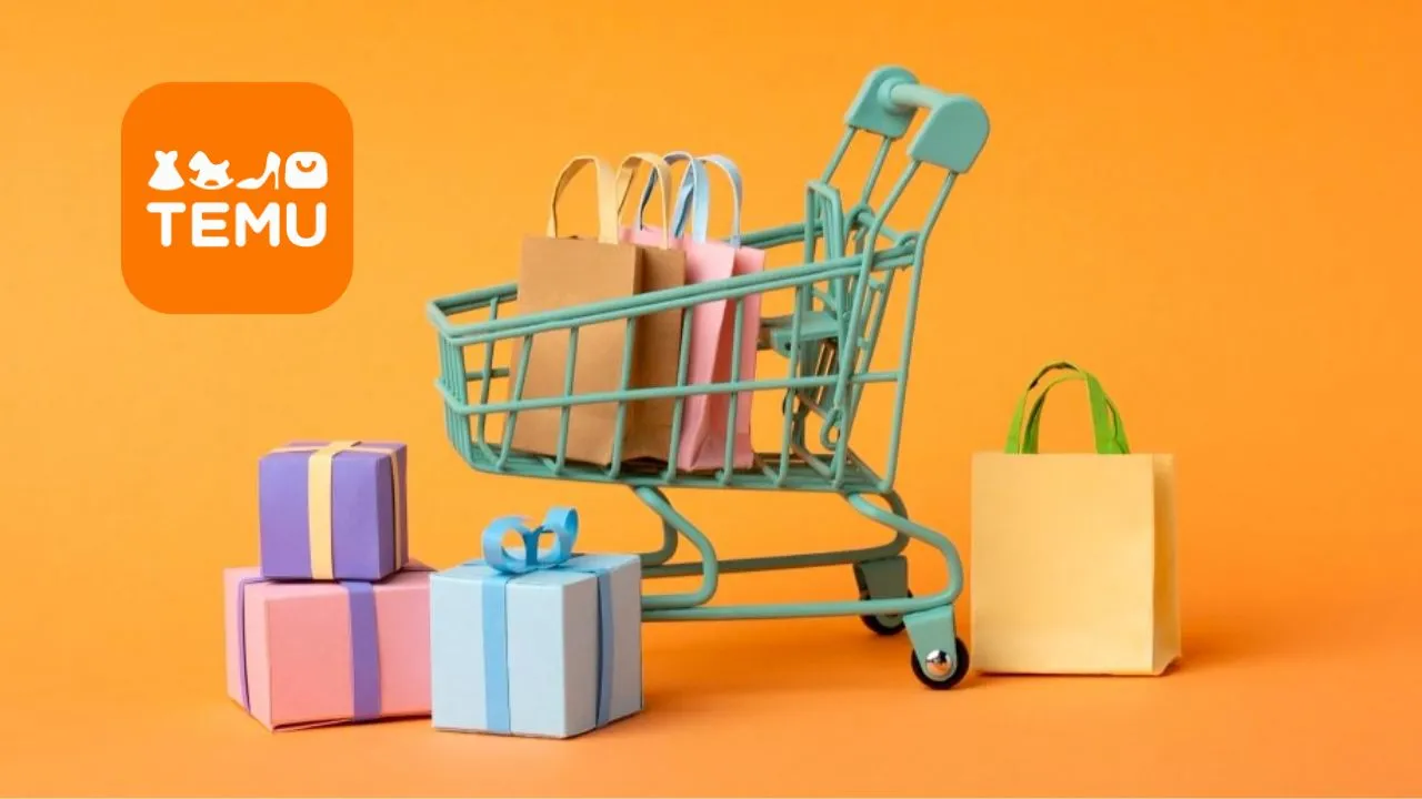 Temu, one of the largest e-commerce platform