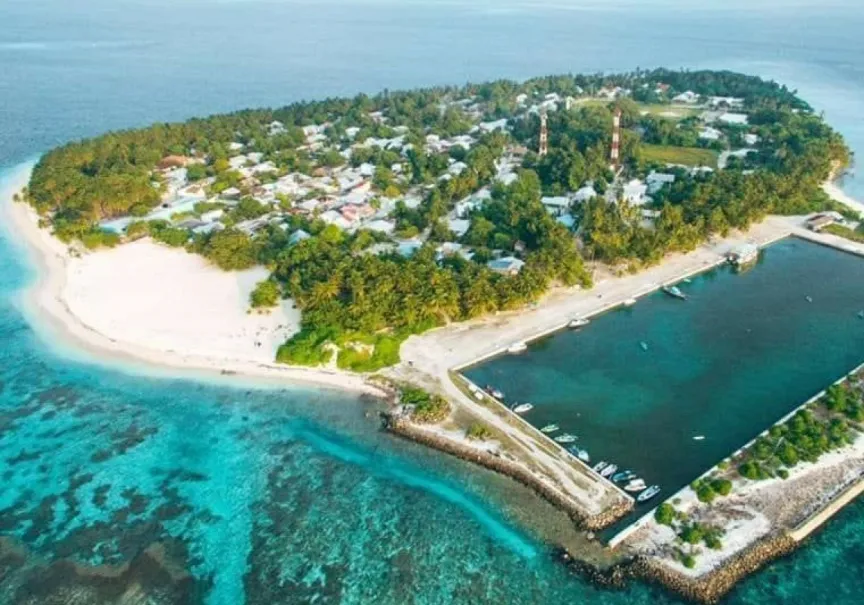 ބިލެތްދޫ ޑިމޮކްޓްސްގެ މެމްބަރުން ދެވަނަބުރުގައި ޕީޕީއެމްއާއެކު މަސައްކަތް ކުރުމަށް ނިންމައިފި
