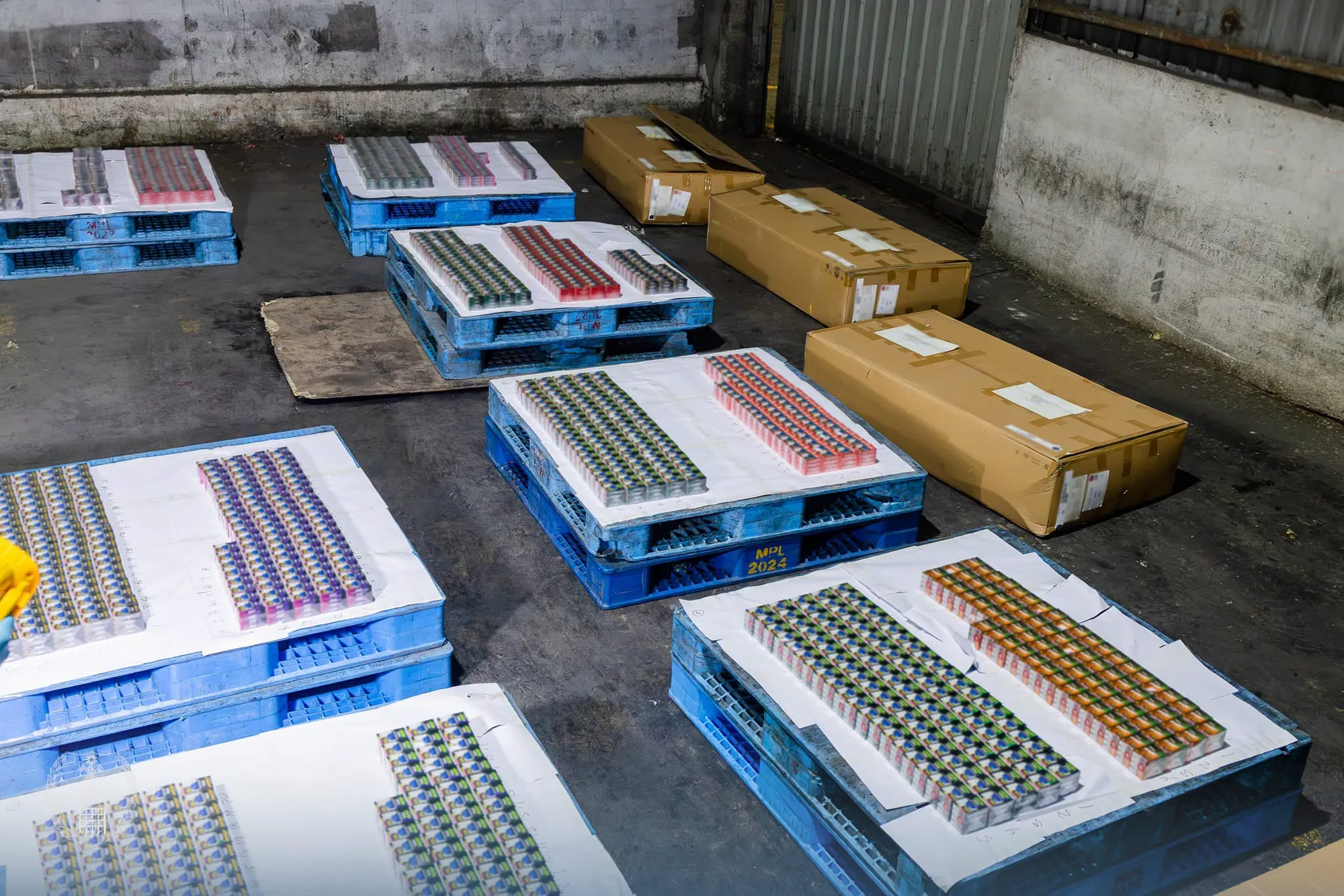 The seized cartridges (Photo/Maldives Customs)