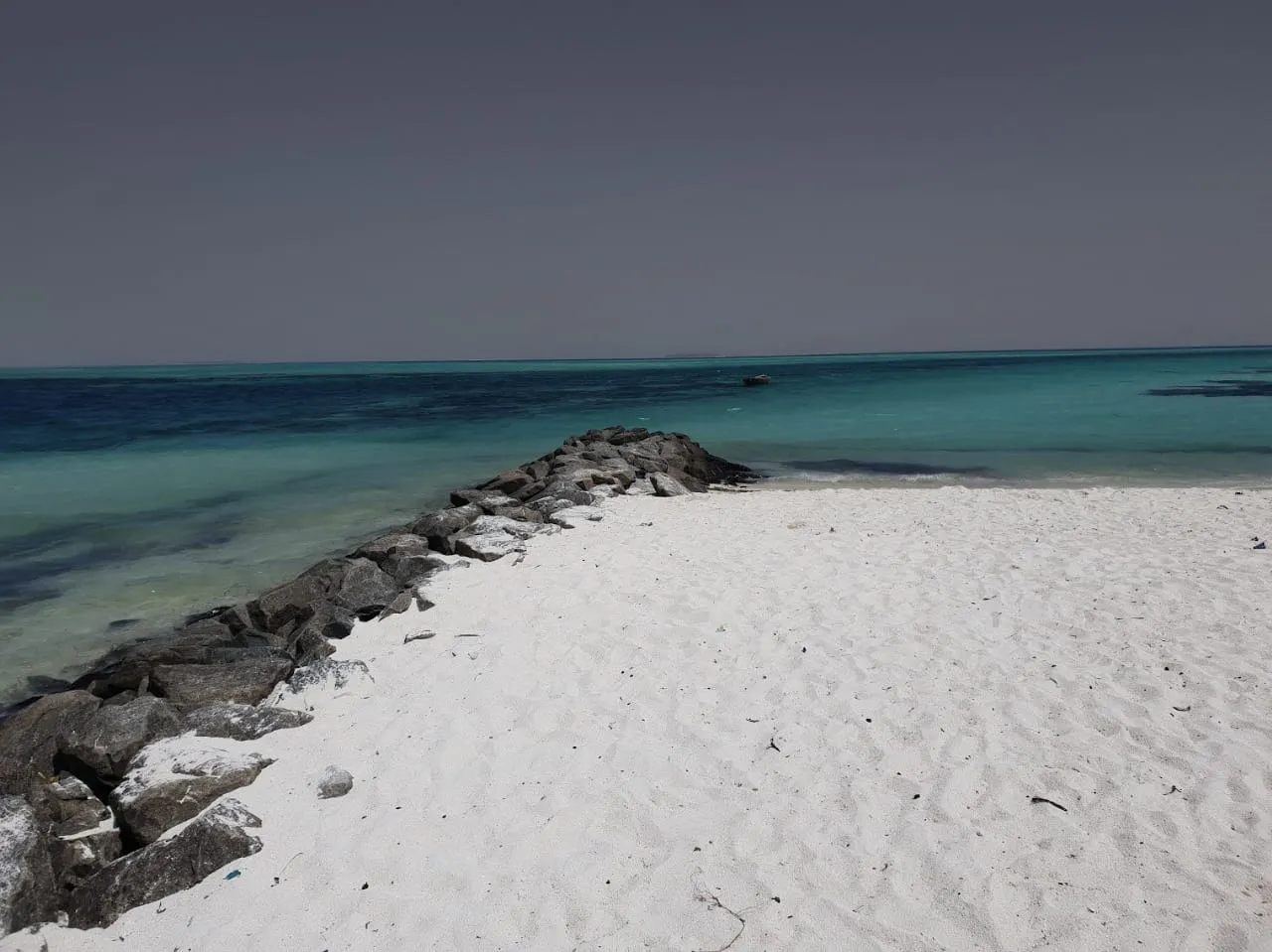 މޫސުން ގޯސް ދުވަހެއް... ފޮޓޯ: ވޮއިސް