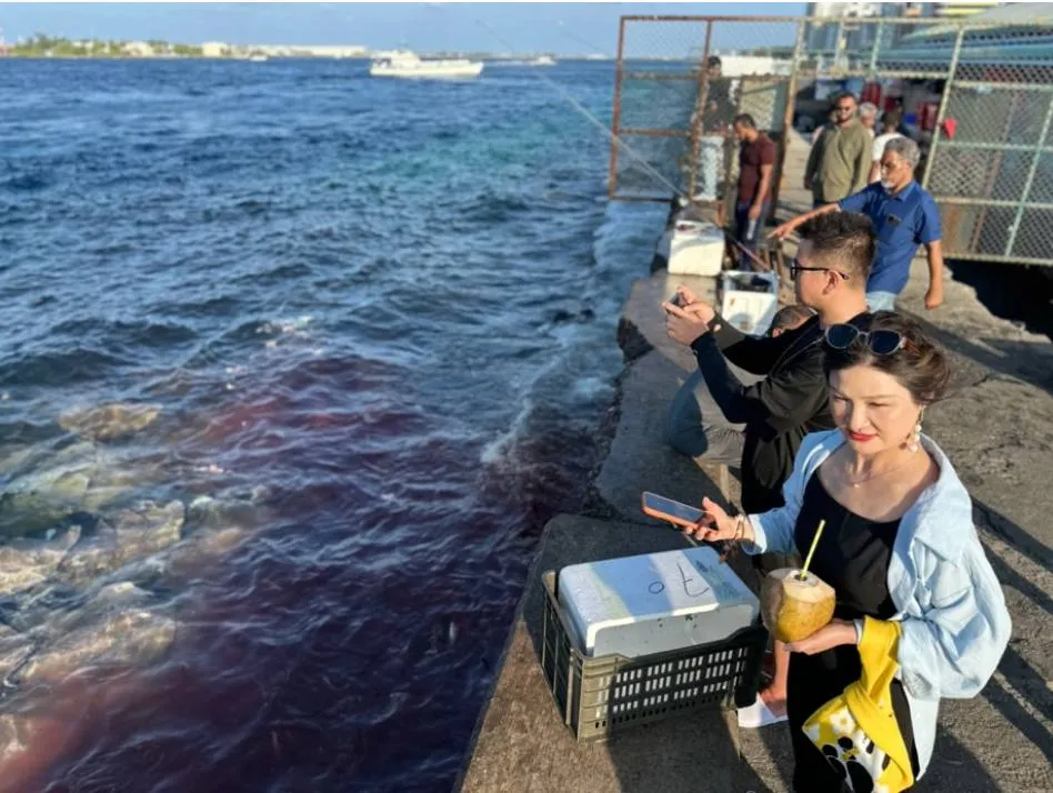 Stingray appears at Male north jetty area
