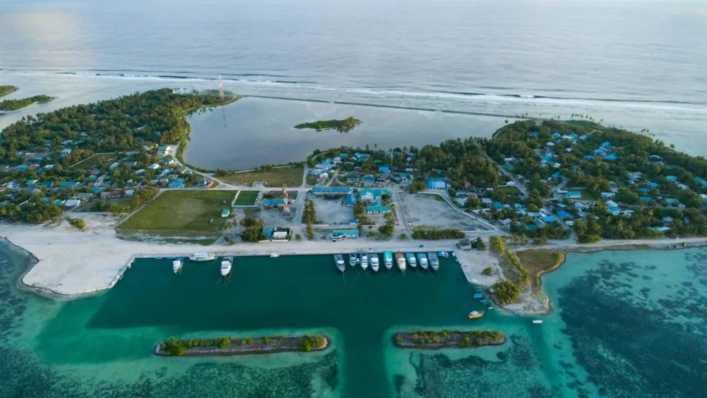 ފަރެސްމާތޮޑާ--ފޮޓޯ: އައިލެންޑް ލެޖެންޑް