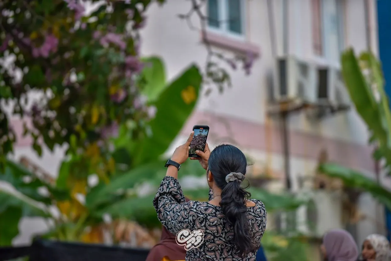 އިންދާފައިވާ ގަސްތަކެއް - ފޮޓޯ: ވޮއިސް