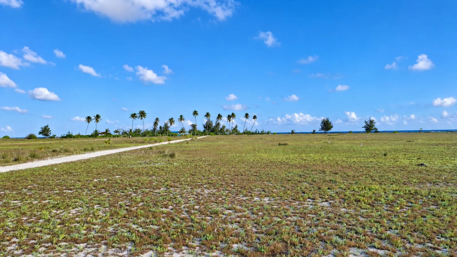 ހުރާ ހިއްކި ބިން... ފޮޓޯ: ވޮއިސް