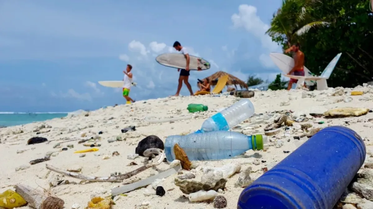 Waste on the beach (Photo/Flystock)