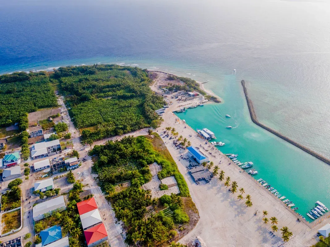 މިލަންދޫ ފަރަށް އެރި ޓަގު ބޯޓުގެ ވެރިފަރާތް 12 މިލިޔަން ރުފިޔާއިން ޖޫރިމަނާ!