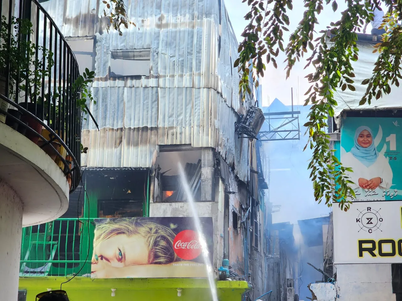 ރޯވި އަލިފާން ނިންވަނީ -- ފޮޓޯ: ވޮއިސް