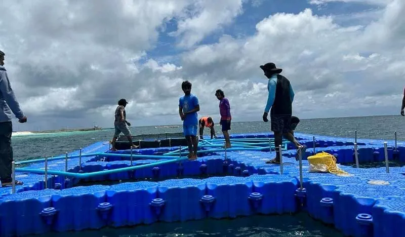 ހެޗަރީއެއް-- ފޮޓޯ: މޯލްޑިވްސް މެރިން ރިސާޗް އިންސްޓިޓިއުޓް